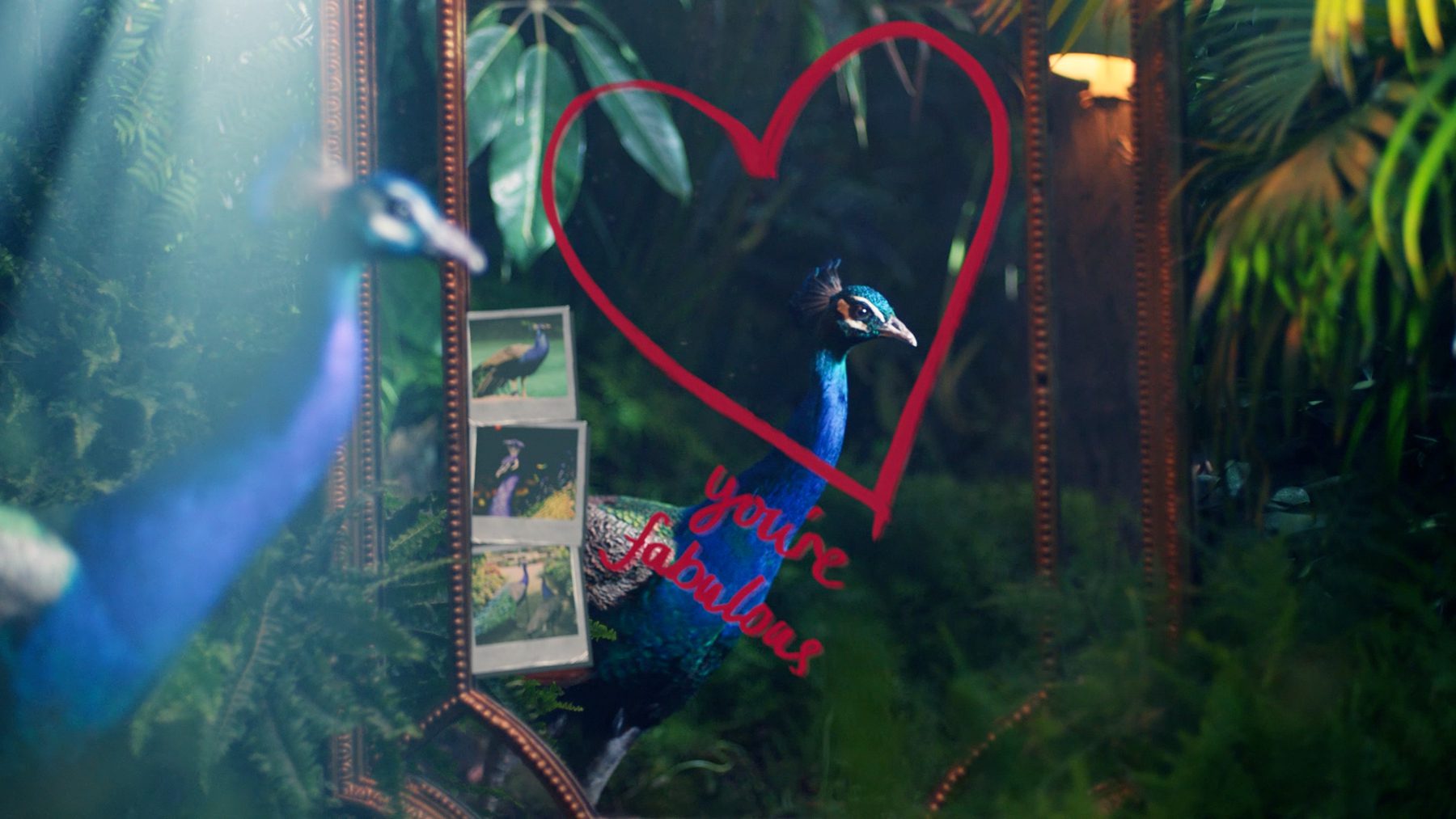 Still from "The Animal Thingdom"