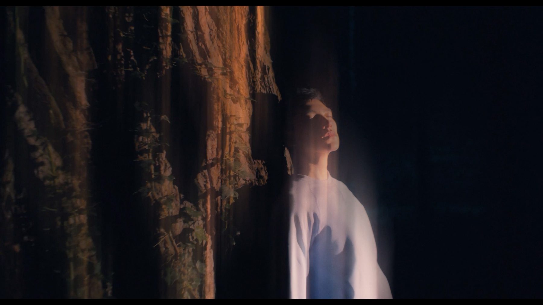 Still from "Otherlands Festival"