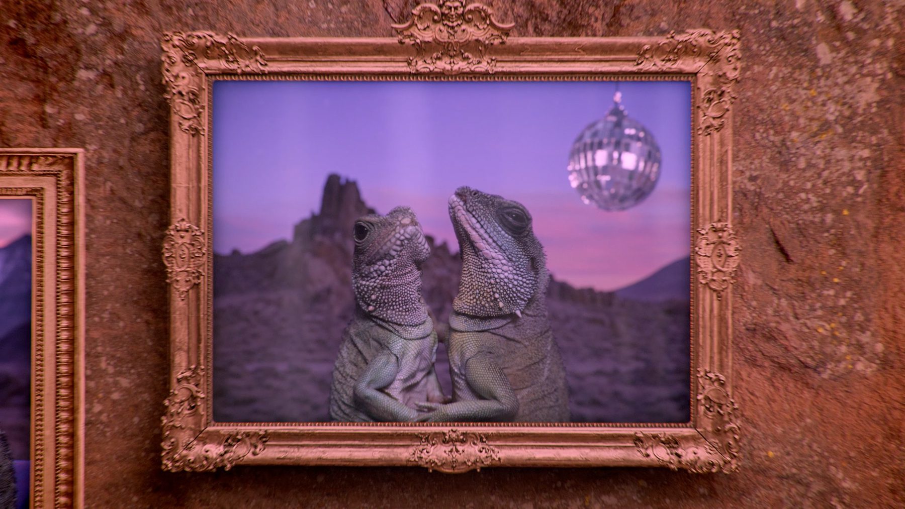 Still from "The Animal Thingdom"