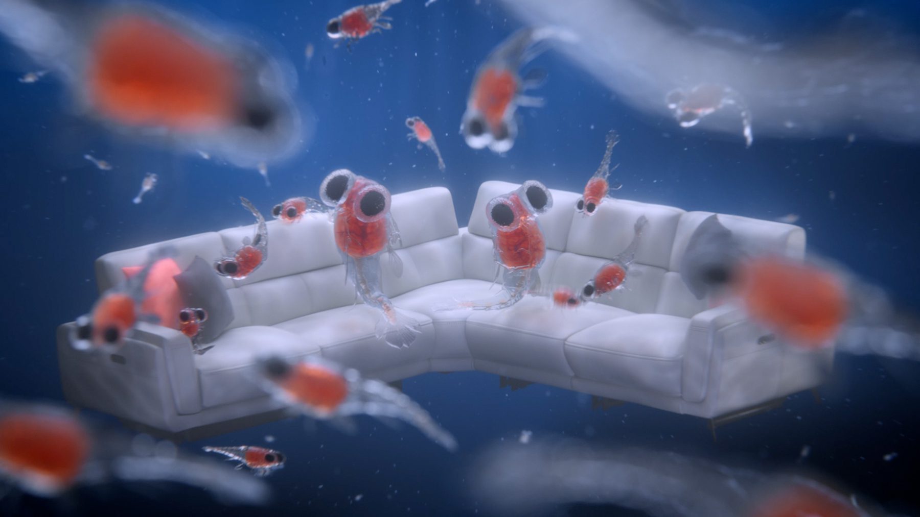 Still from "The Animal Thingdom"