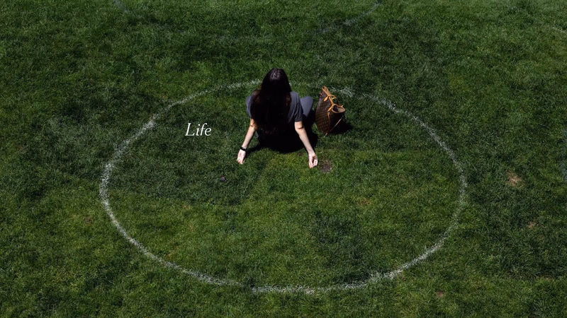 New York Times — Life Needs Truth film still
