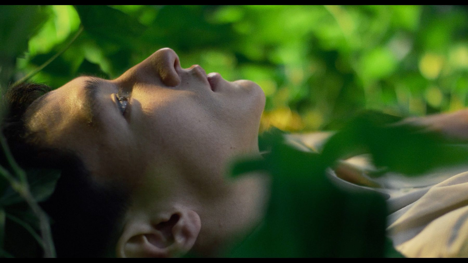 Still from "Otherlands Festival"