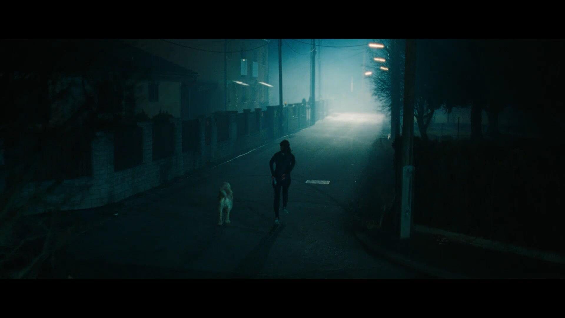 Still from "See the Unseen"