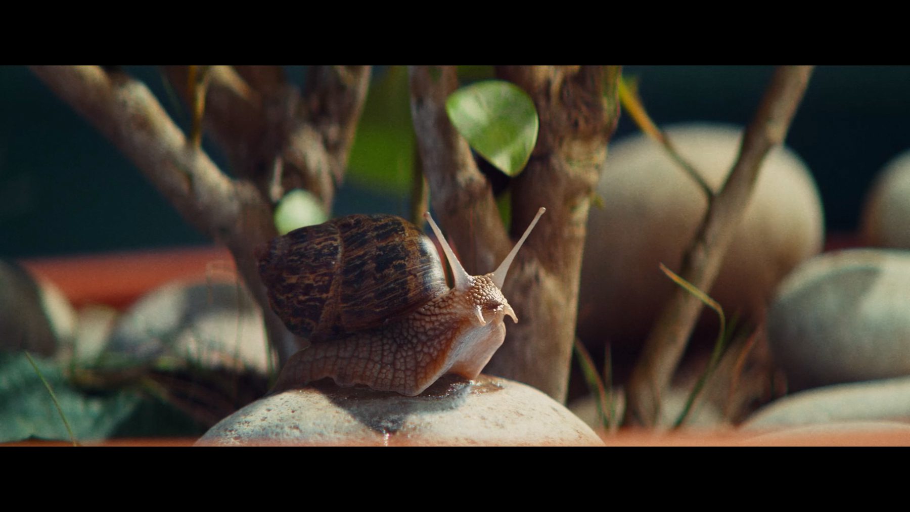 Still from "RESPECT"