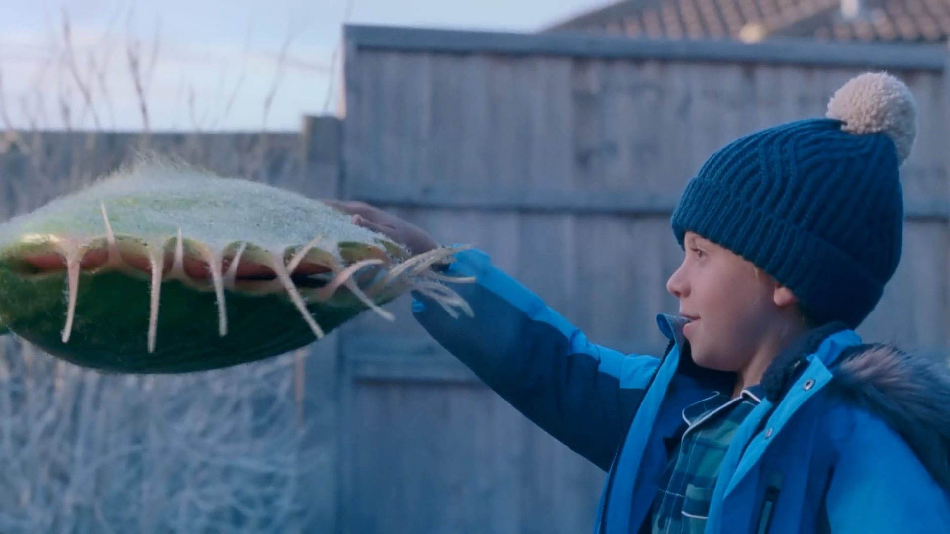 Still from "Snapper: The Perfect Tree"