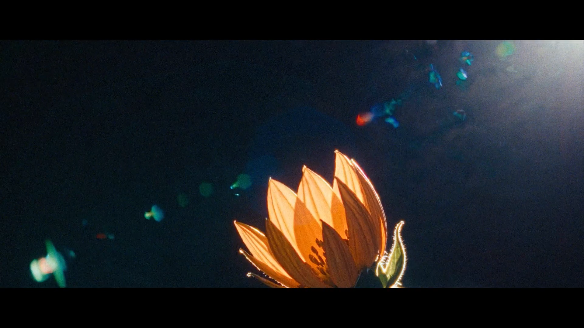 Still from "Beyond Gravity"