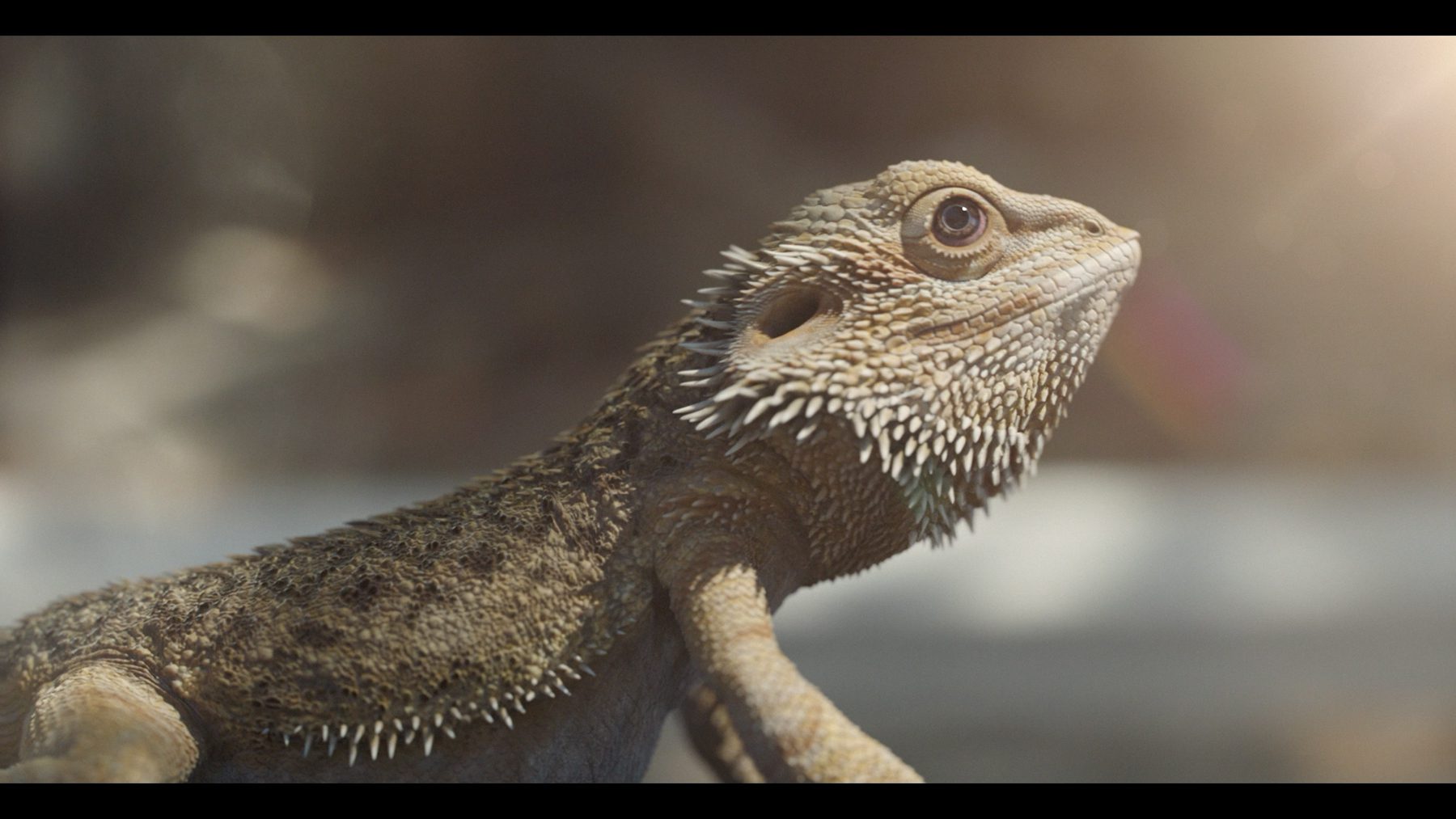 Still from "Jeff's World"