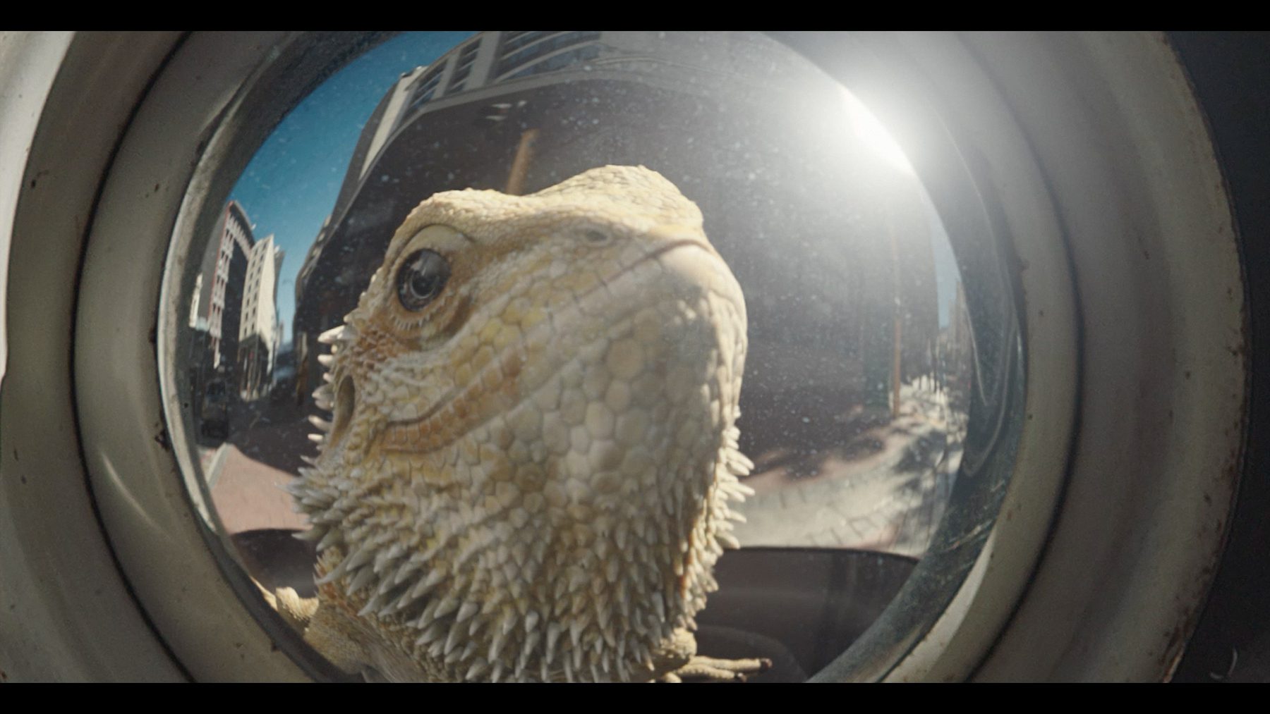 Still from "Jeff's World"