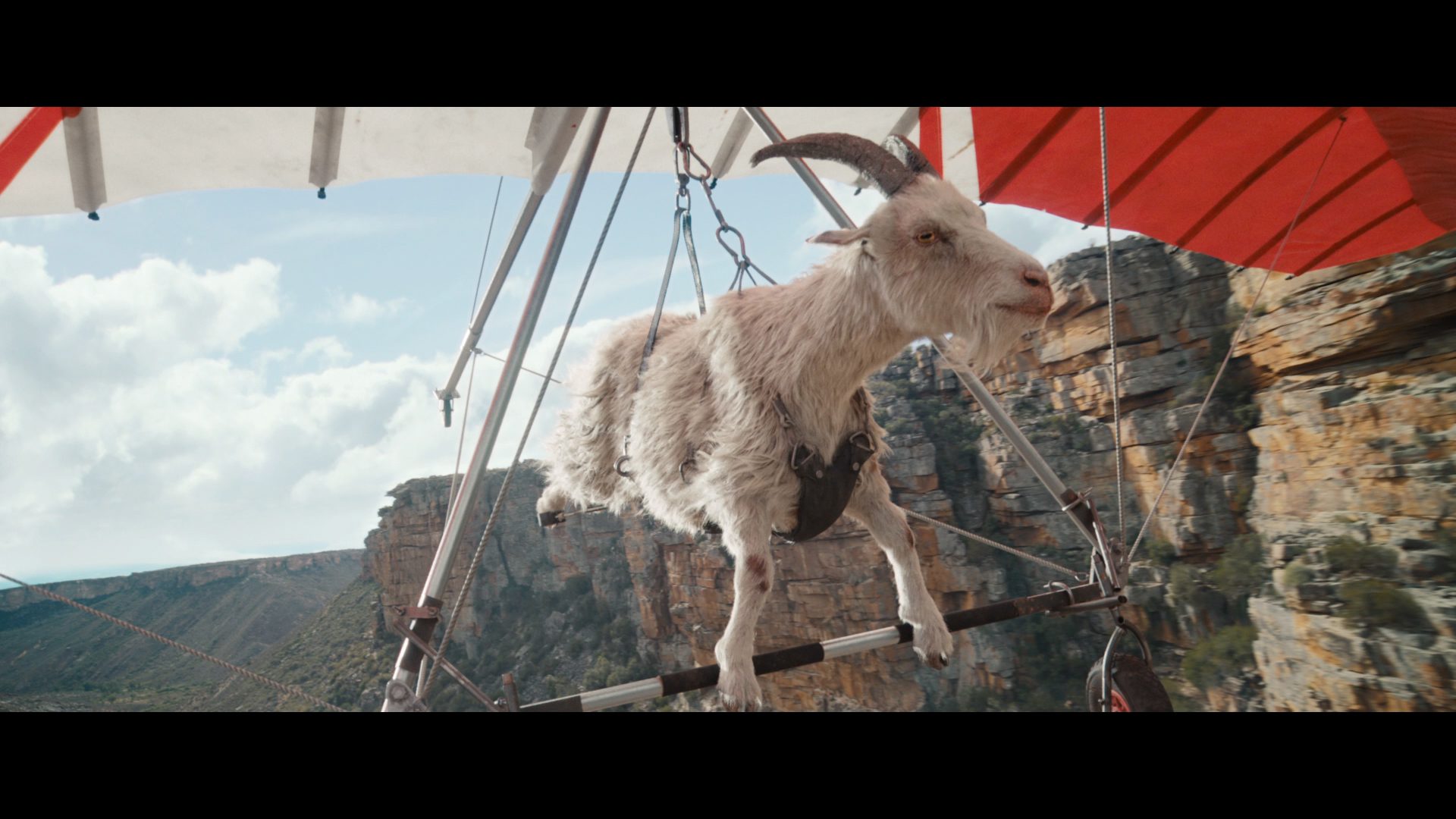 Still from "Goat Glider"