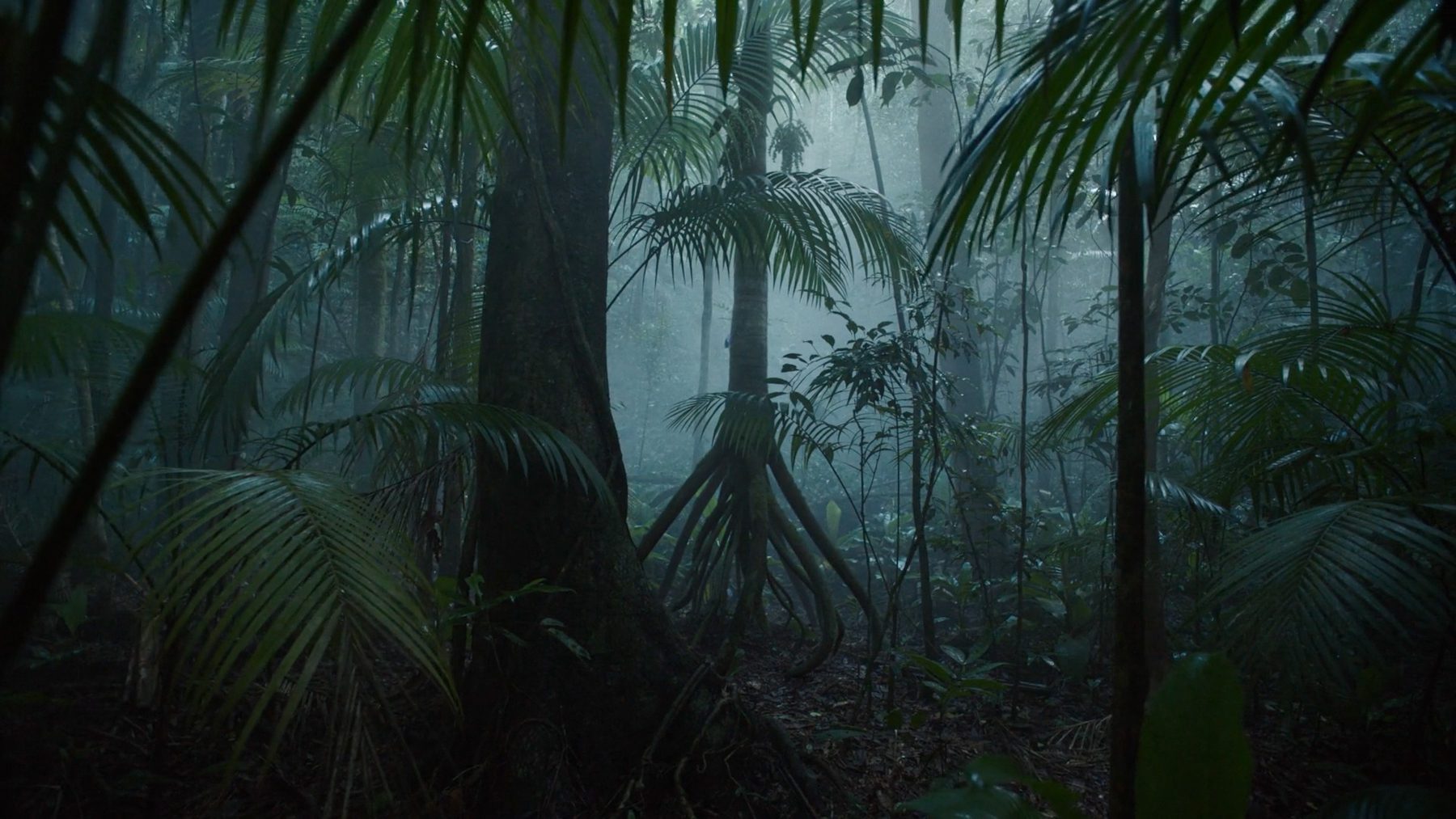 Still from "Changing Tree"