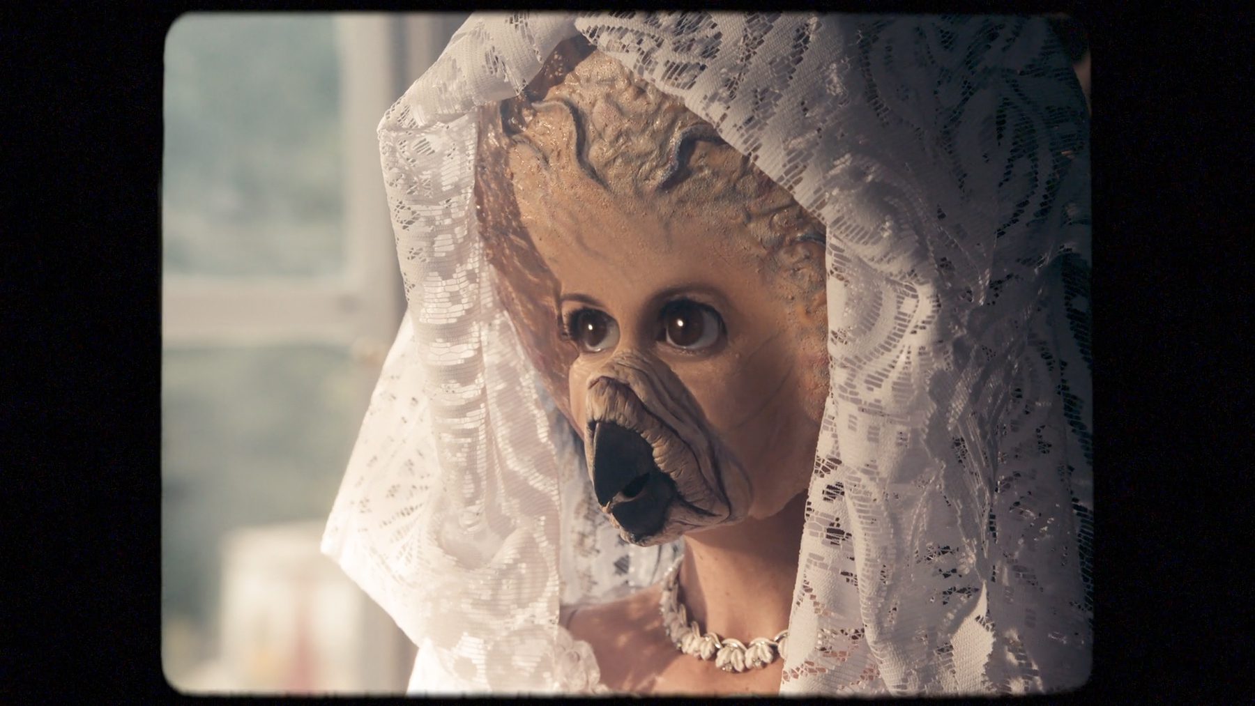 Still from "The Octocurse"