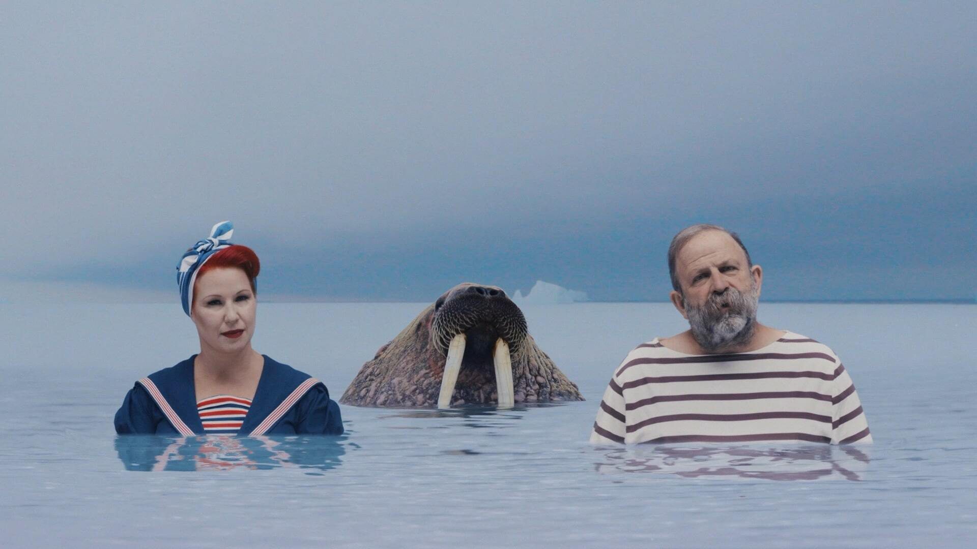 Still from "Complaints Welcome"