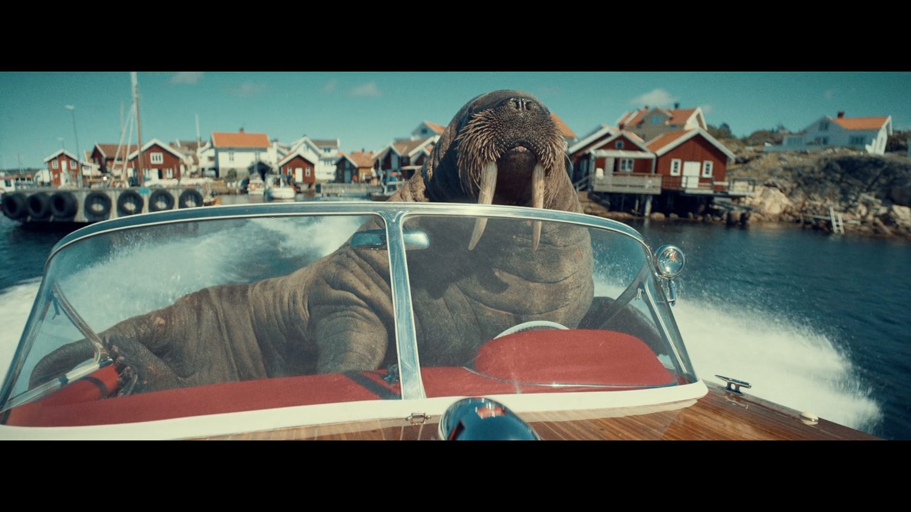 Still from "Walrus Whizzer"