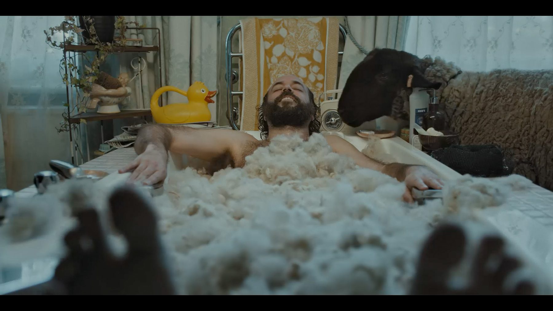 Still from "Herd Immunity"
