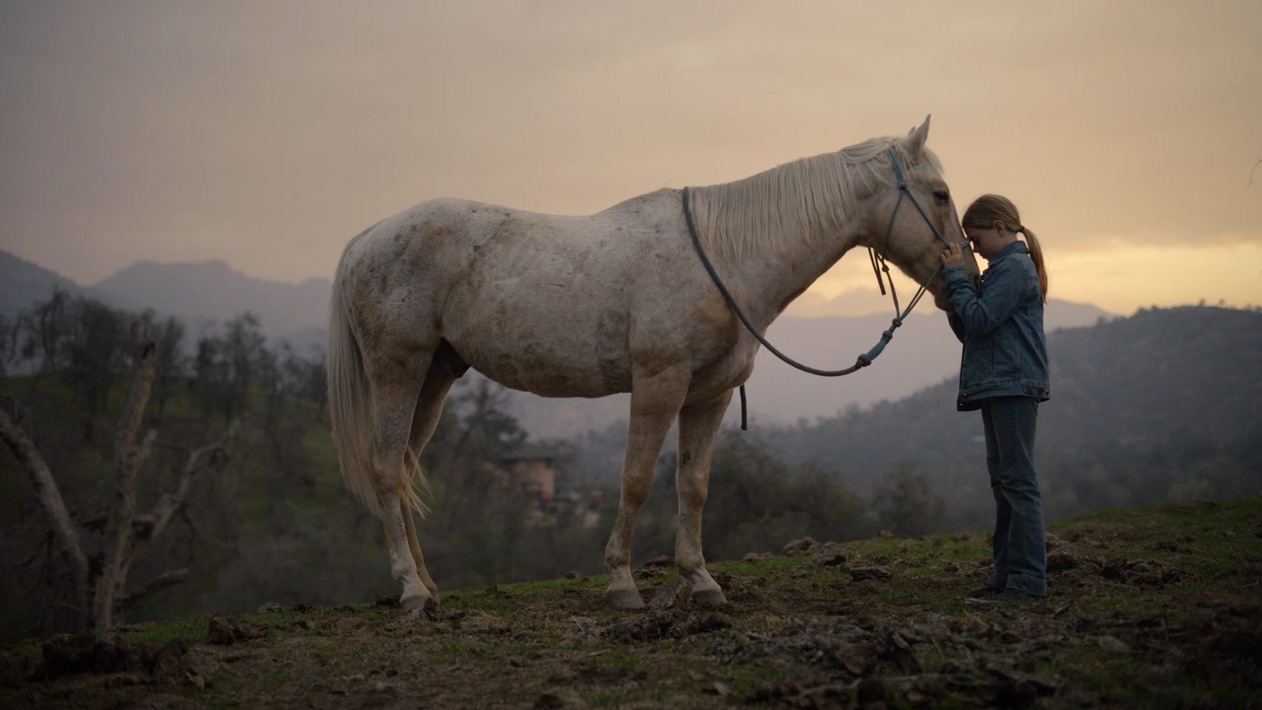 Still from "Long Live Cowgirls"