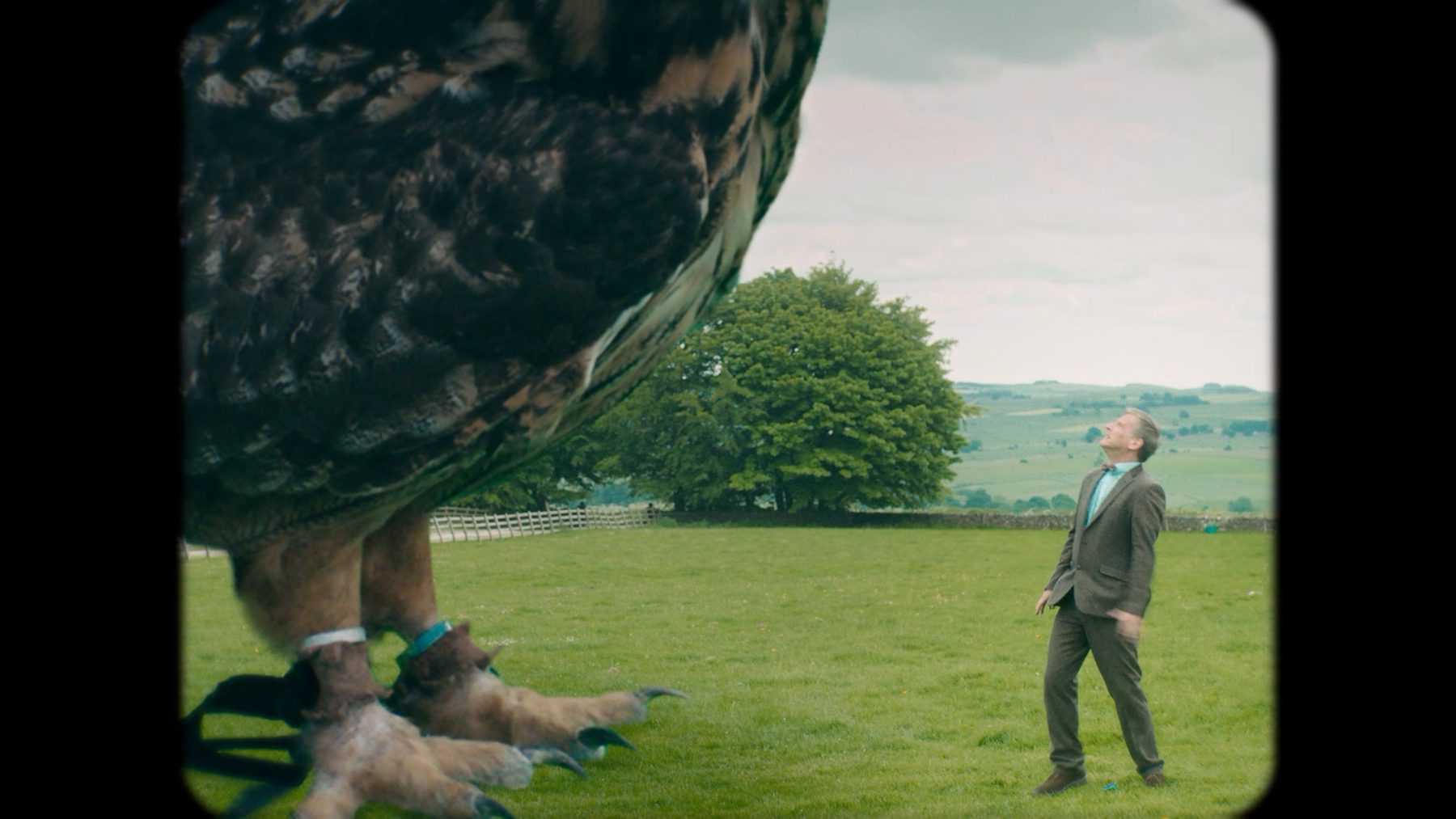 Still from "Falconry Experience"