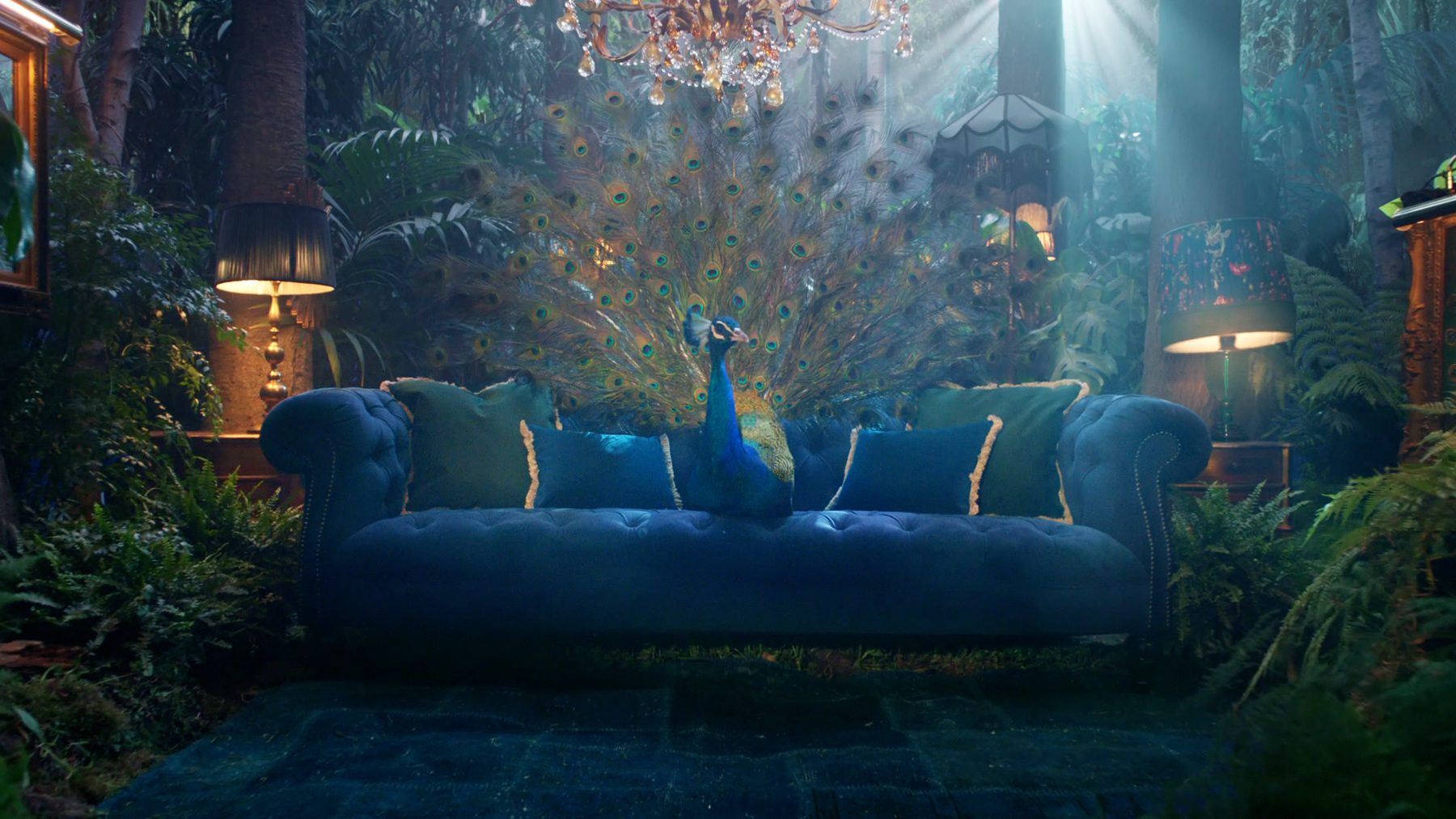 Still from "The Animal Thingdom"