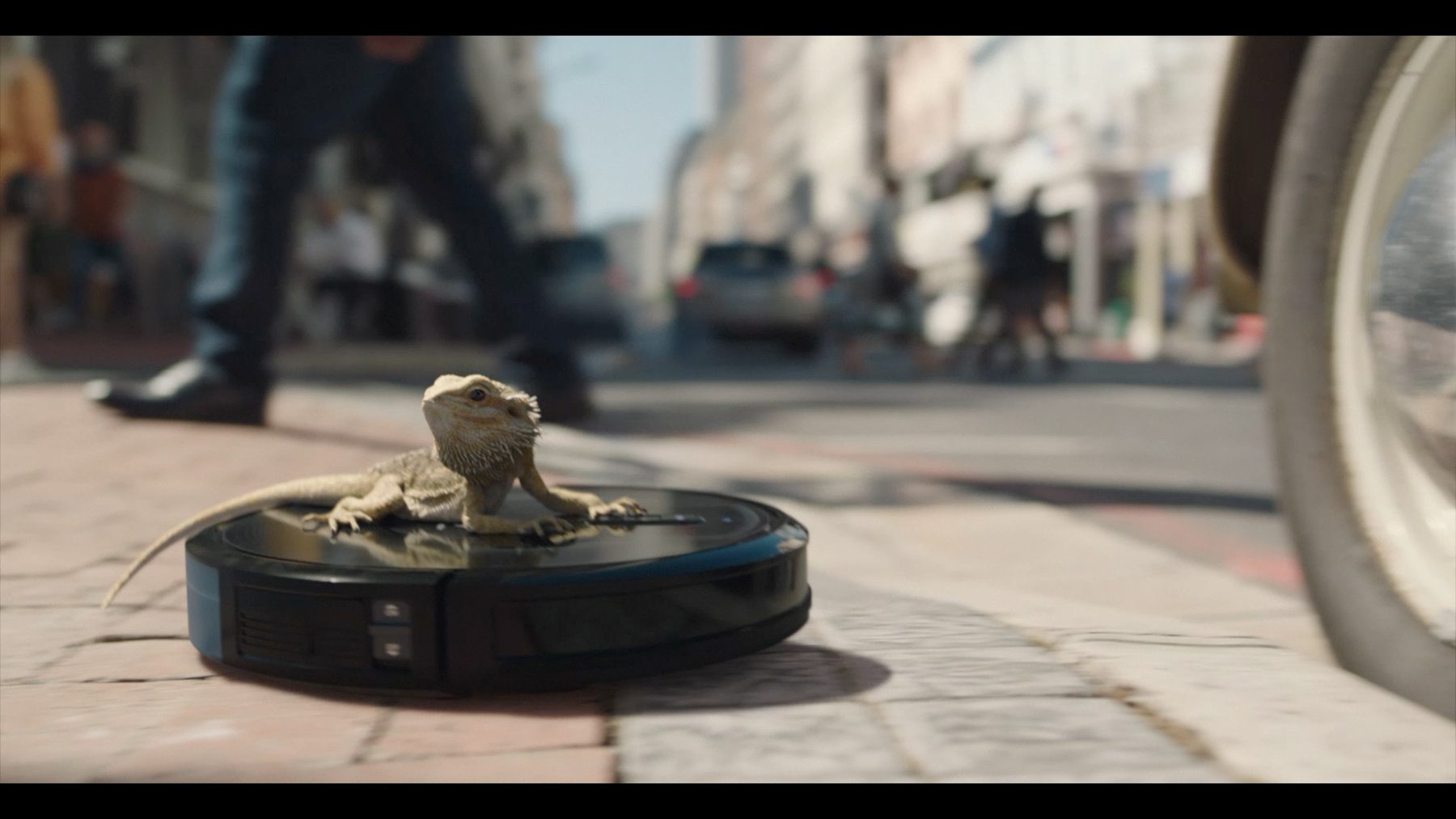 Still from "Jeff's World"