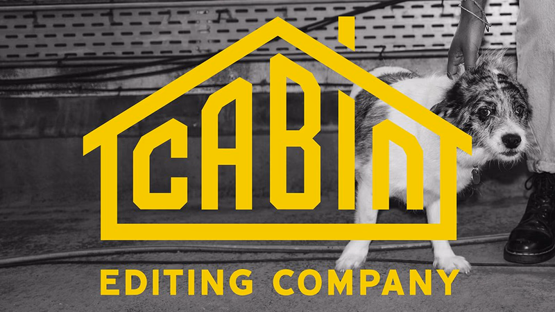 Access All Arrows — Cabin Edit House