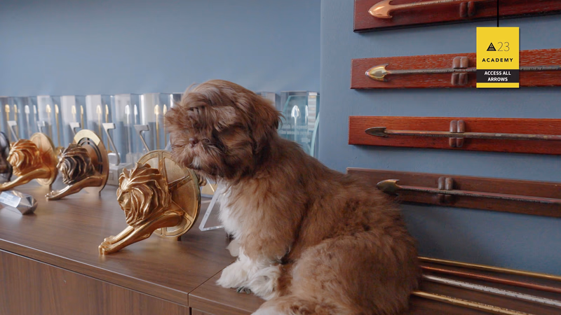 ACCESS ALL ARROWS With Academy