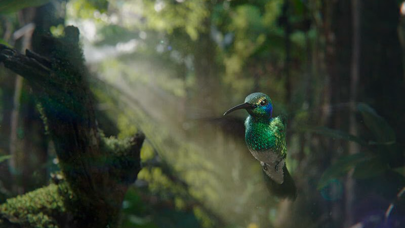 In Conversation with Framestore Bringing stories to life.